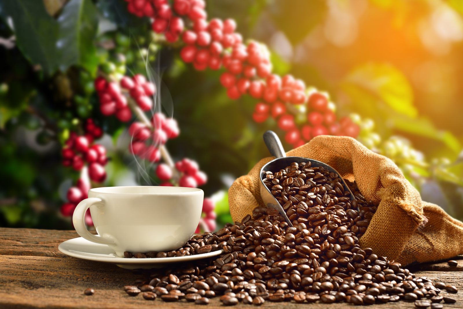 Coffee Prices Climb on Brazilian Real Strength